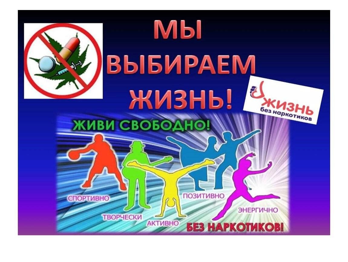 Против зож картинка