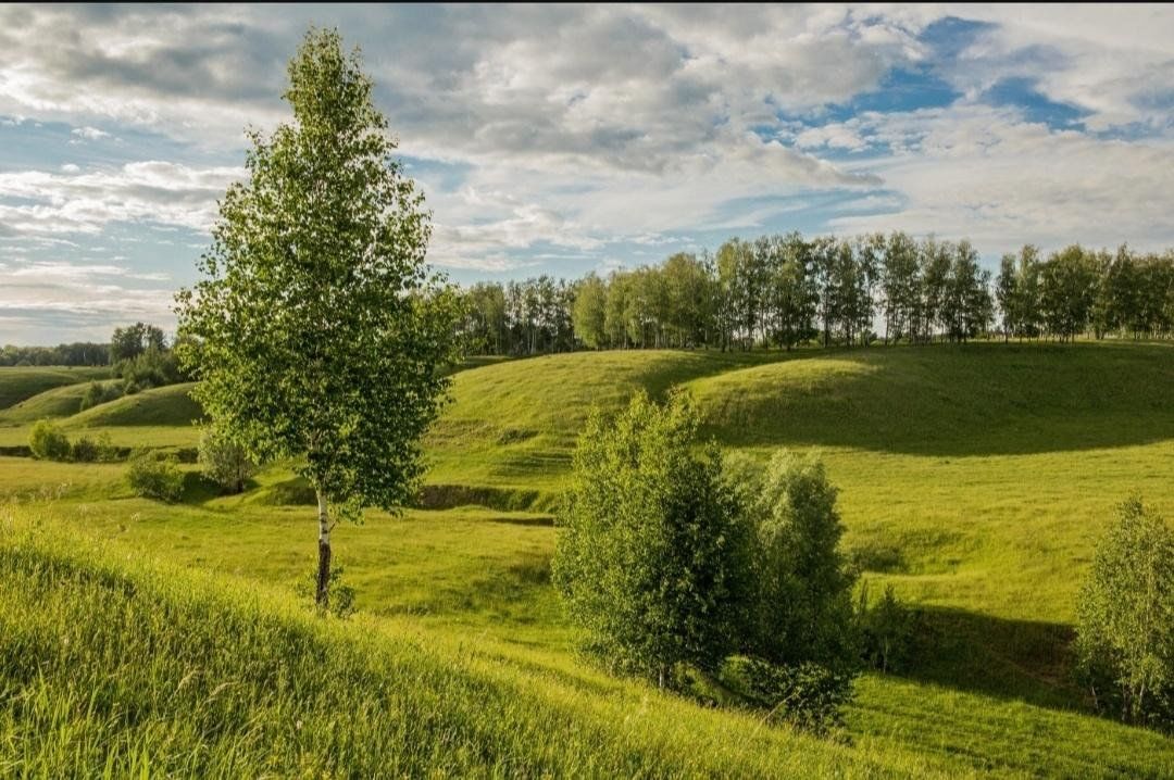 Природа татарстана фото Табигатькә сәяхәт" 2023, Камско-Устьинский район - дата и место проведения, прог