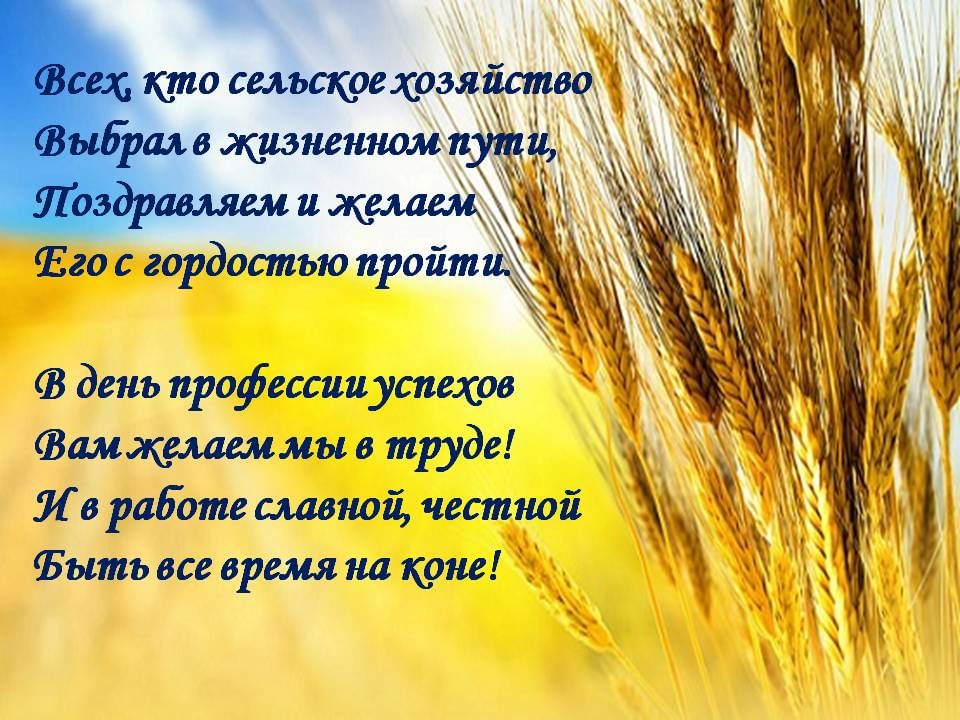 День работника сельского хозяйства картинки с поздравлениями Музыкальная открытка ко Дню Работников Сельского хозяйства и перерабатываюшей пр