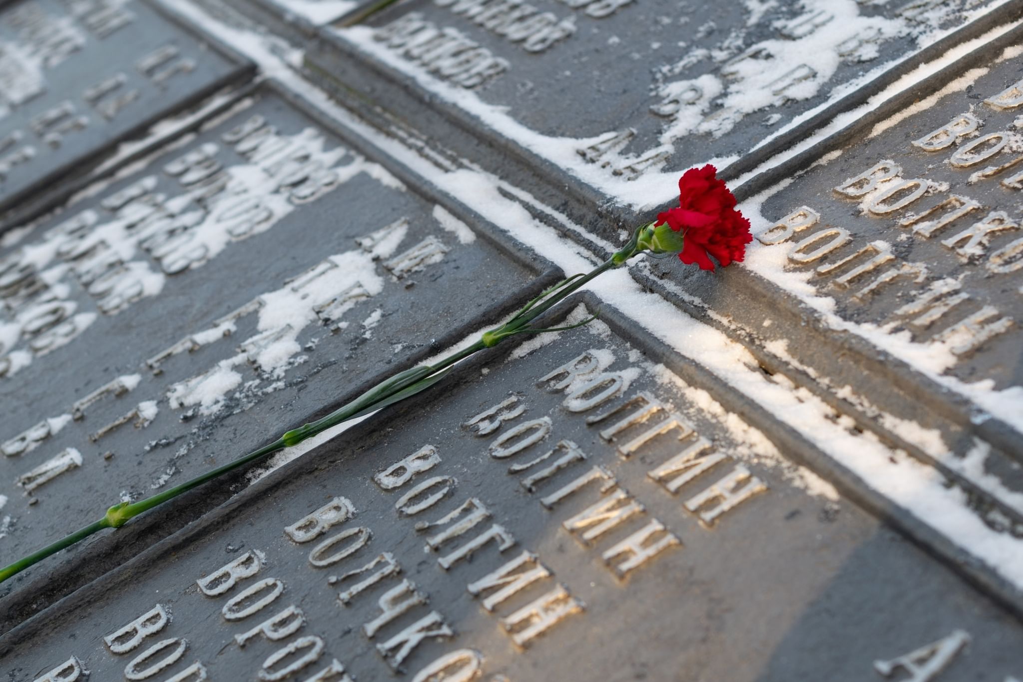 Освобождение. Памятно мемориальные мероприятия. Памятно мемориальные мероприятия. Памятные мероприятия у памятника унану аветисяну верхнебаканский. 2061 день памяти жертв политических репрессий.