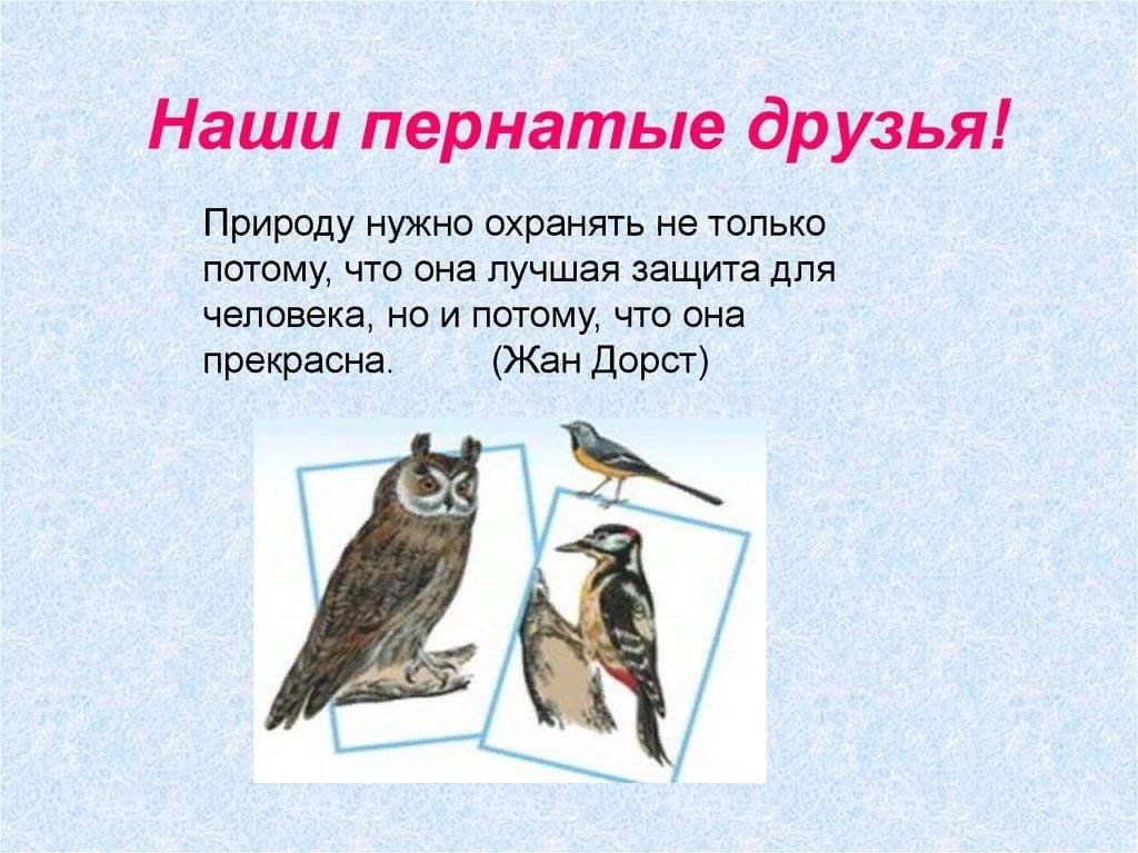Пернатые гости сочинение 3 класс по плану