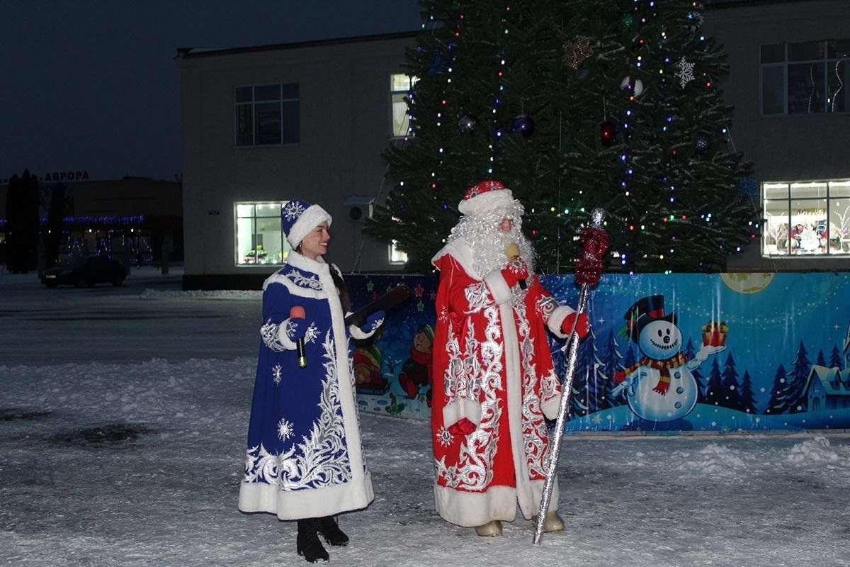 Торжественное открытие елки