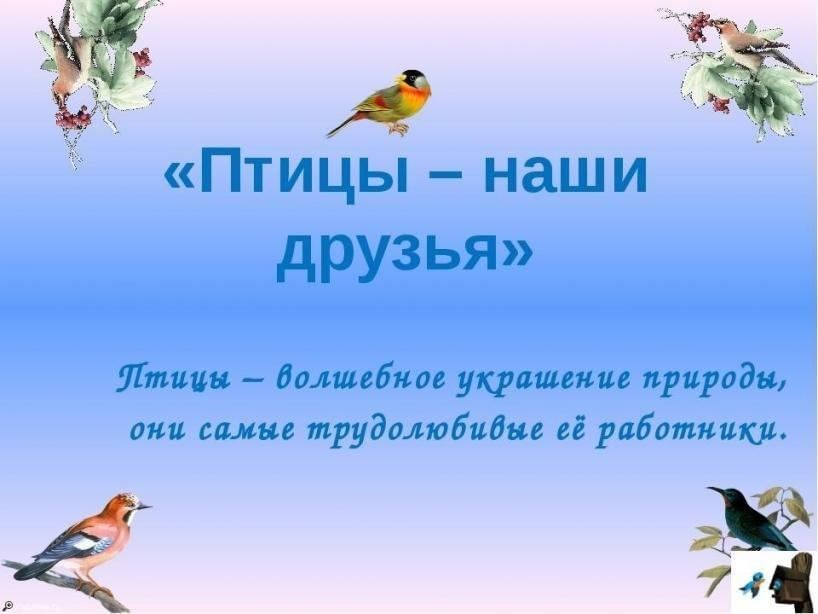 Проект птицы детский сад