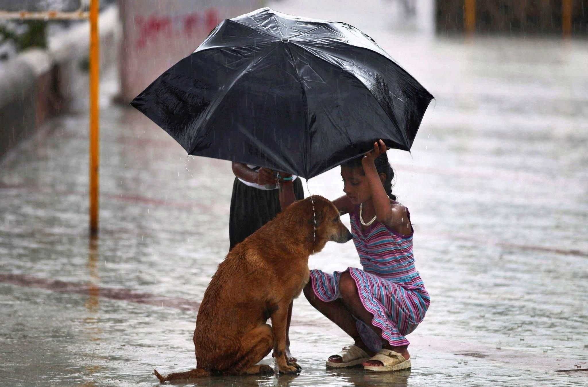 Добро картинки красивые. Добрые поступки. Сострадание к животным. Красивый поступок. Милосердие к животным.