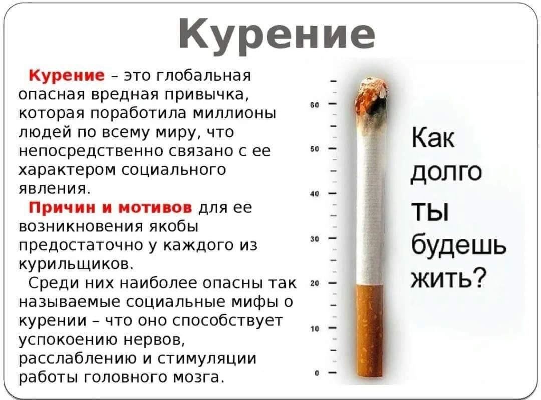 За сколько до крови нельзя курить. Куремяэ. Тема о вреде курения.