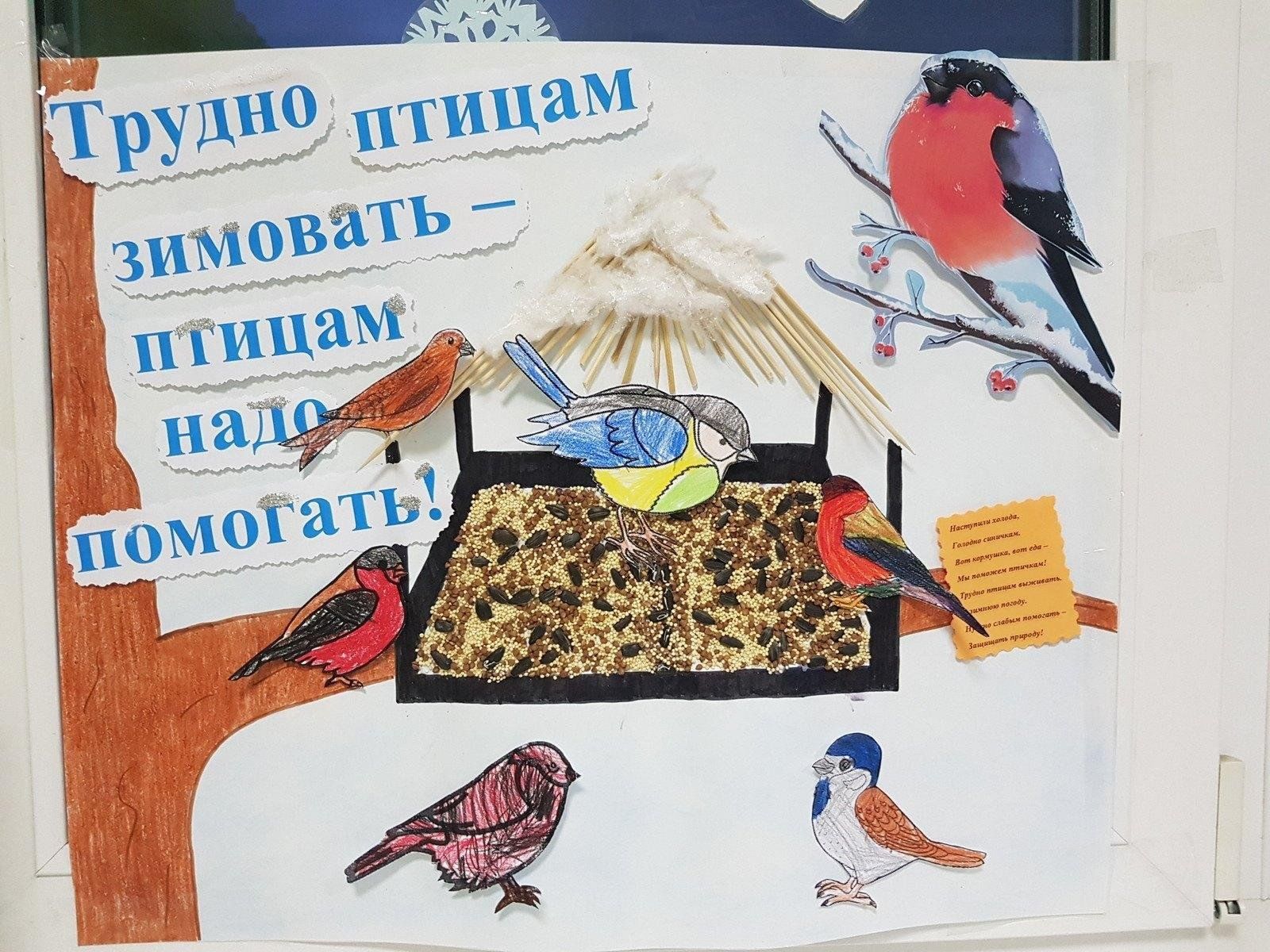 Проект зимующие птицы в подготовительной группе