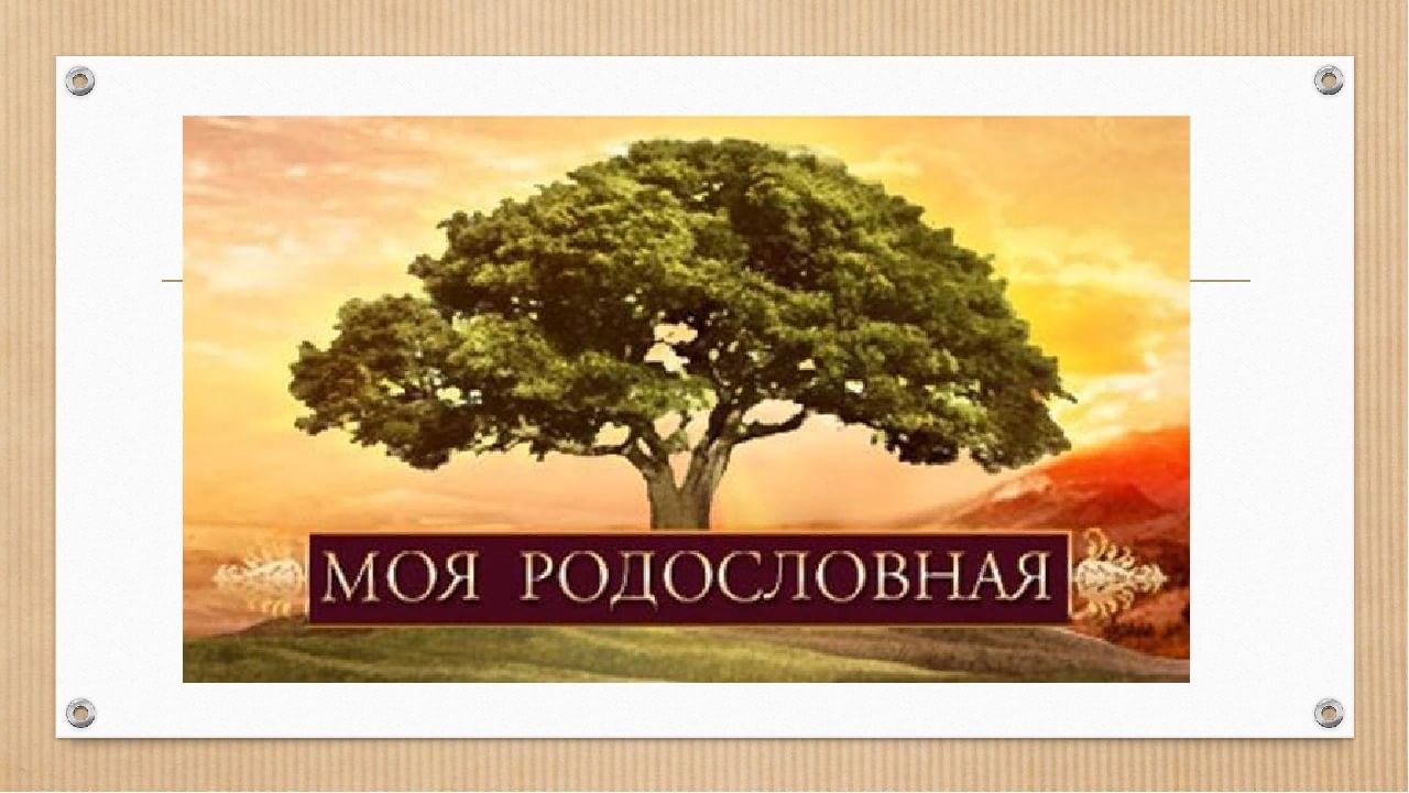 Проект моя родословная 3 класс