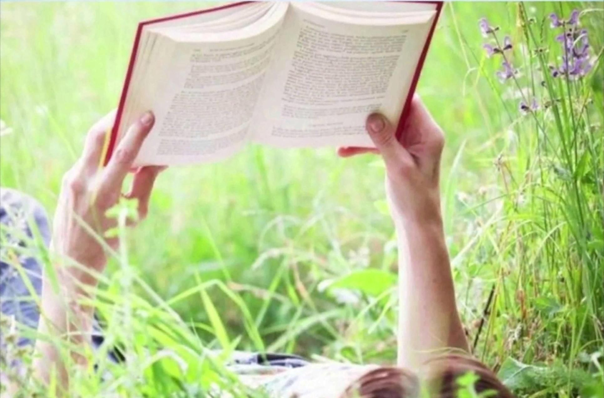 Читаю я и весь край. Лето с книгой. Книги для чтения летом. Летнее чтение. Чтение книг на природе.