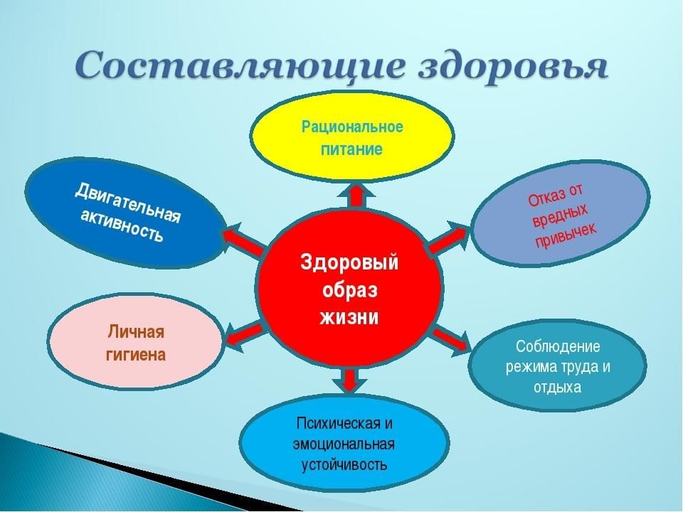 Виды здоровья схема