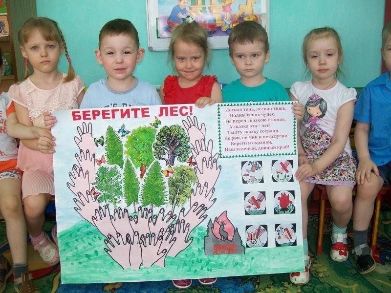 Проект по экологии средняя группа