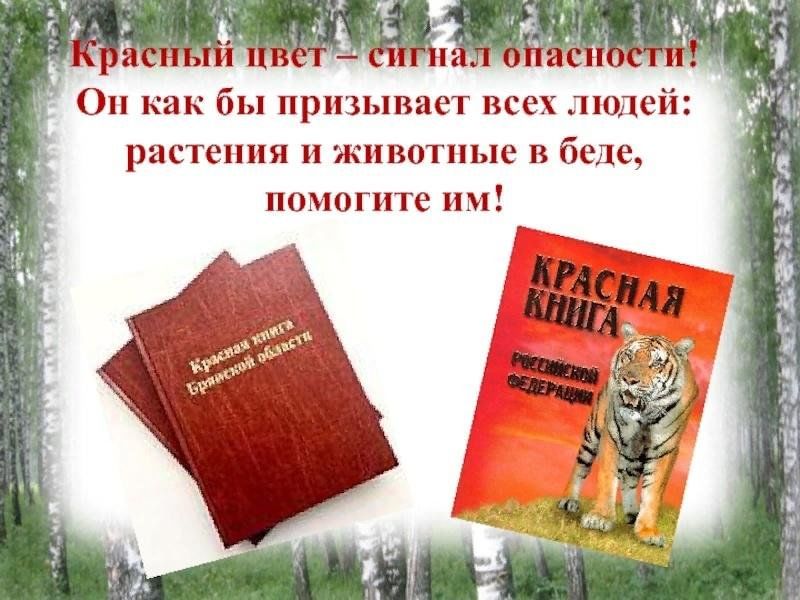 Проект красная книга брянской области 4 класс