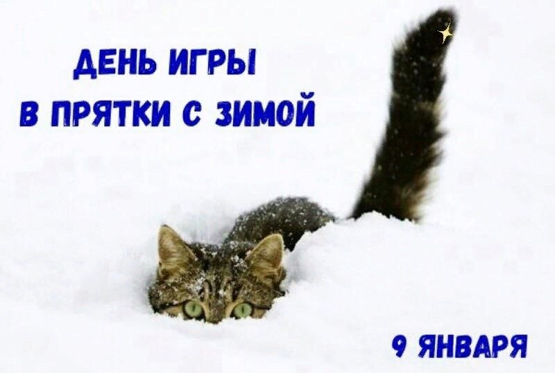 f17d3af2-c7fb-5325-9b61-0e82a76a63f4