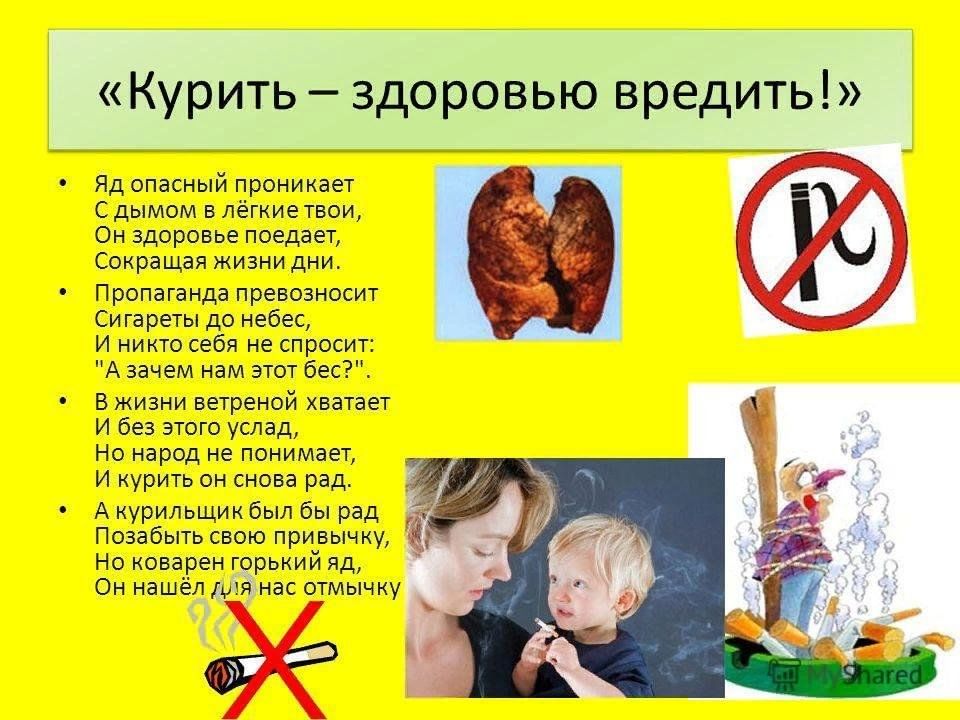 Вред курения на организм человека проект 9 класс