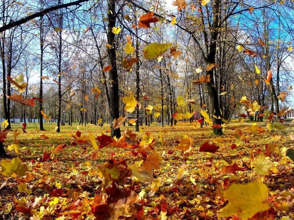 Признаки осени фото