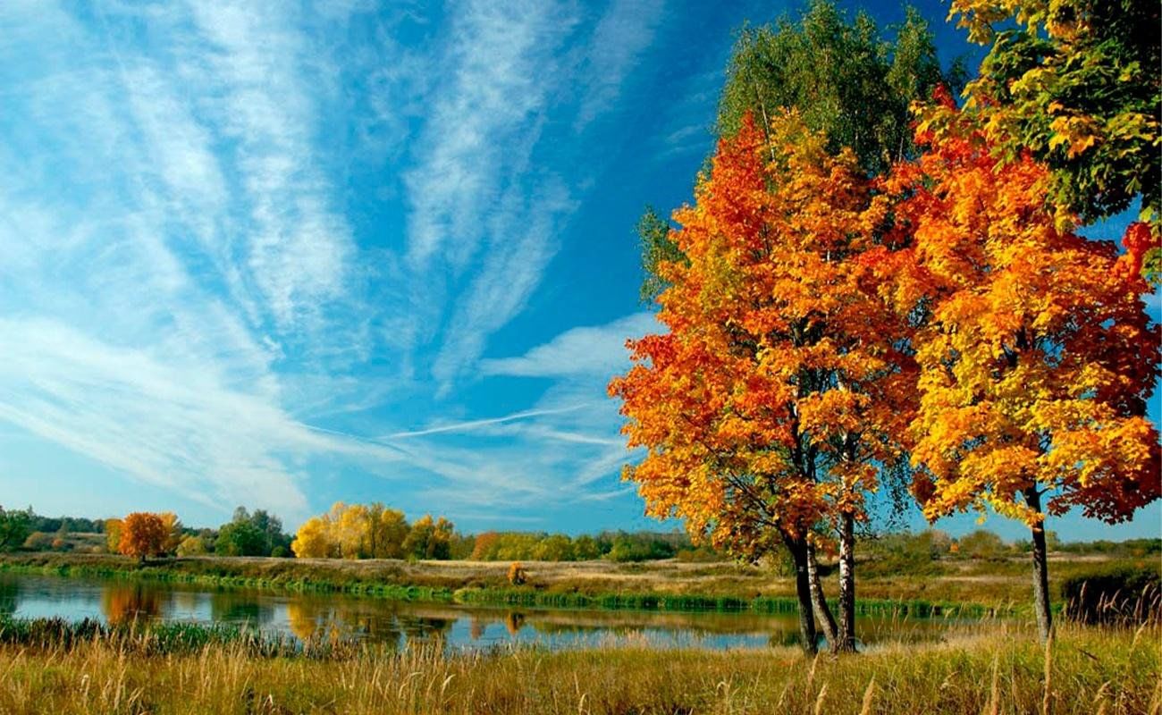 Родной край осенью. Осень в России. Осенняя природа. Осенний пейзаж. Природа осенью.