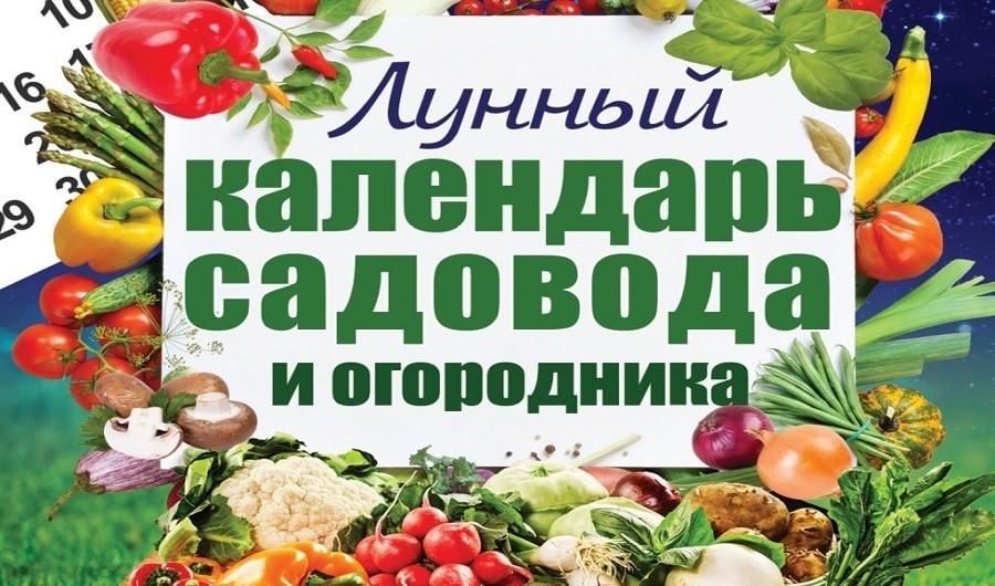 Календарь садовода на сентябрь 2024 года Час огородника 2022, Ярославский район - дата и место проведения, программа меро