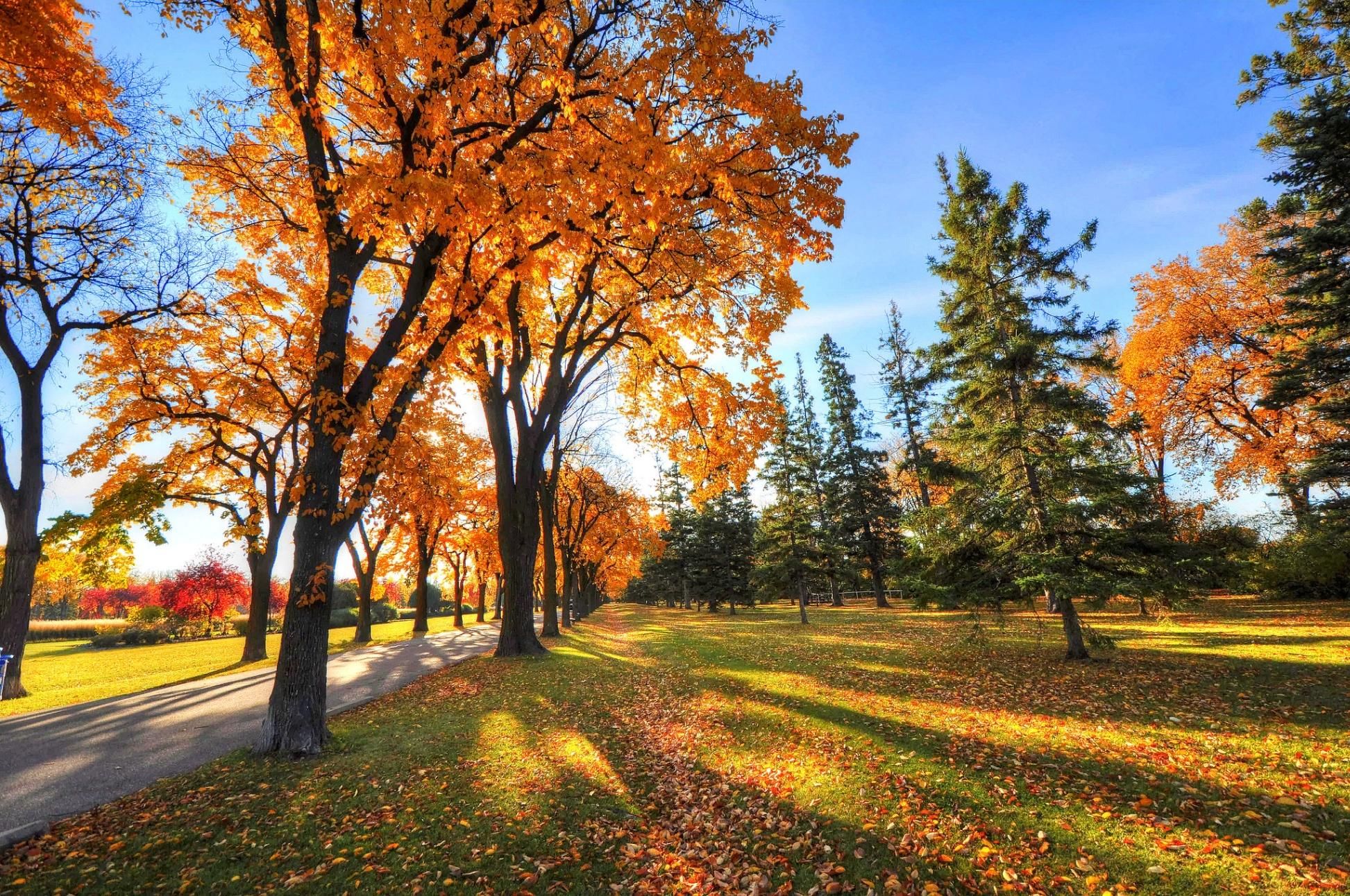 Осенняя природа картинки