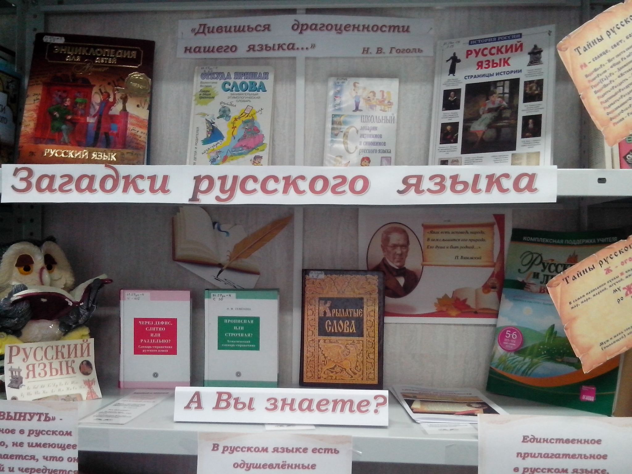 Выставка международный день родного языка. Книжная выставка родной язык. Выставка родной язык в библиотеке. Книжная выставка ко Дню родного языка. Выставка ко Дню родного языка.