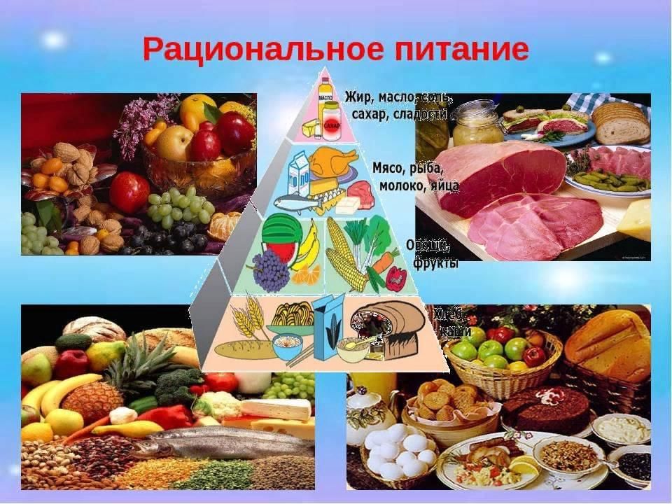 Проект по теме рациональное питание