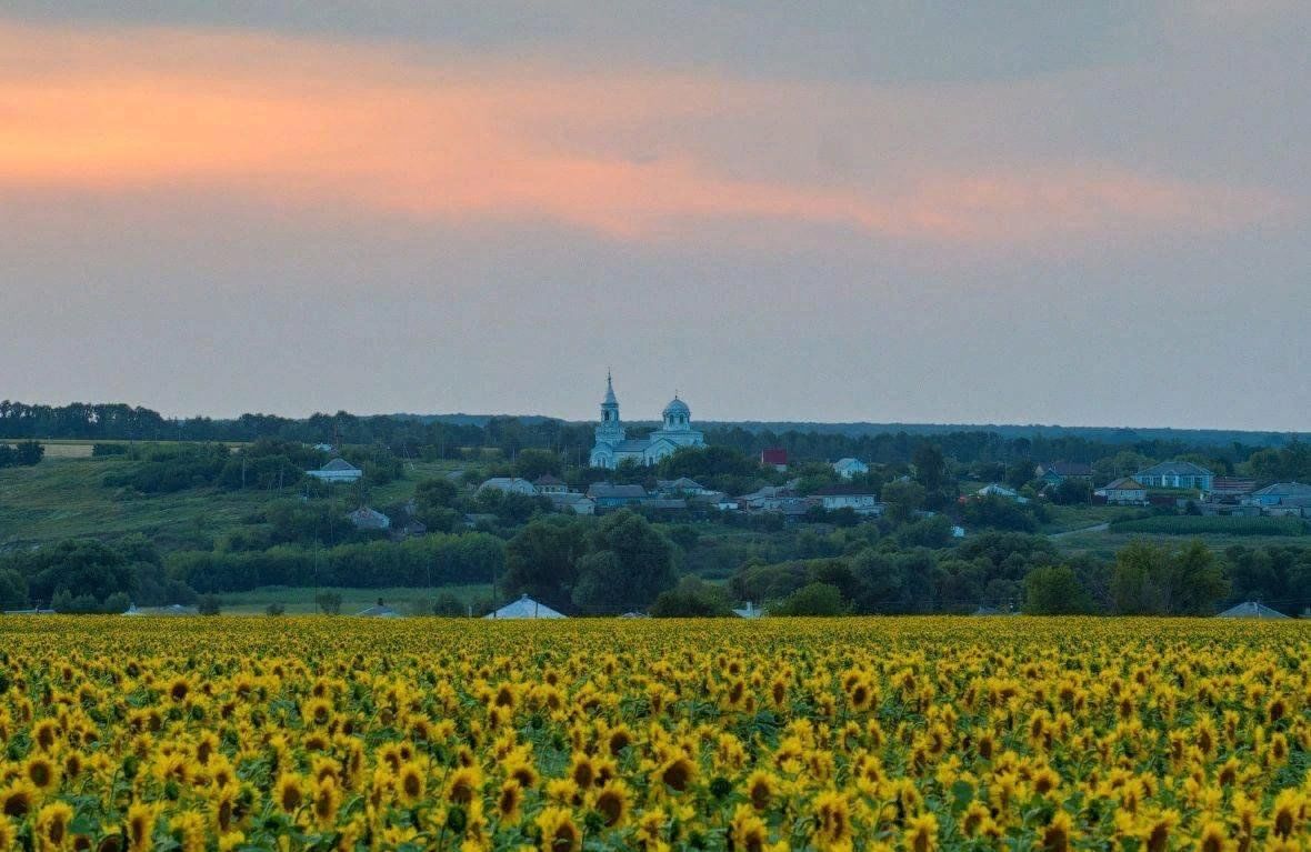 Сельские храмы Белгородской области