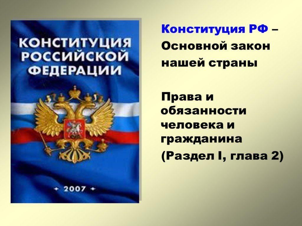 Конституция основной закон государства проект