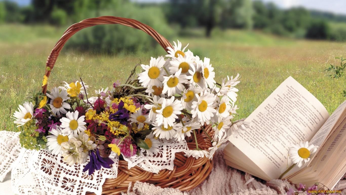 Книжное настроение картинки