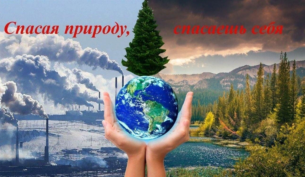 Картинки сохраним природу