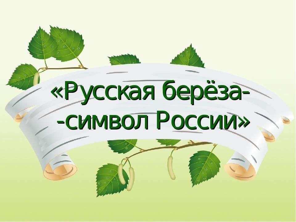 Проект береза в детском саду