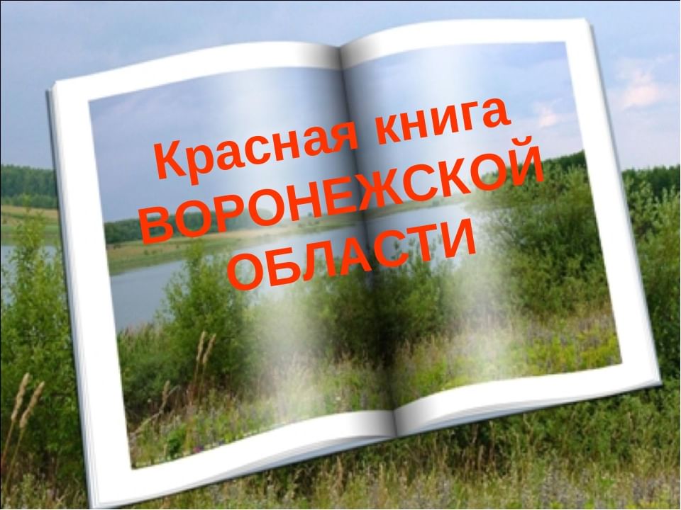 Проект красная книга воронежской области