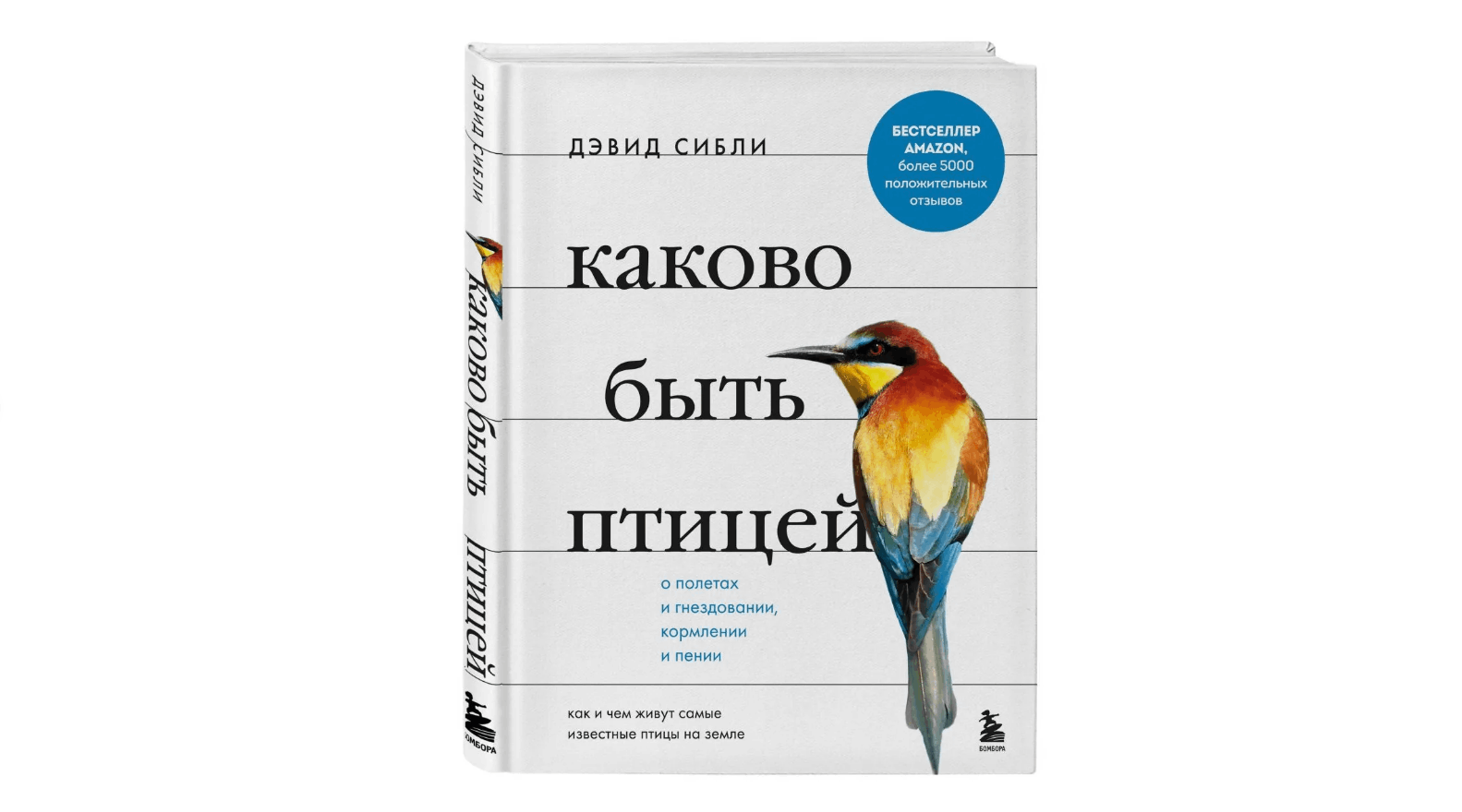 Птица накакала на одежду женщине примета. Каково быть птицей книга. Примета если птица накакала на человека. Примета птица ударилась в окно. Приметы про птиц.