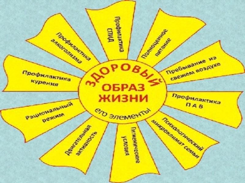 Основы здорового образа жизни картинки