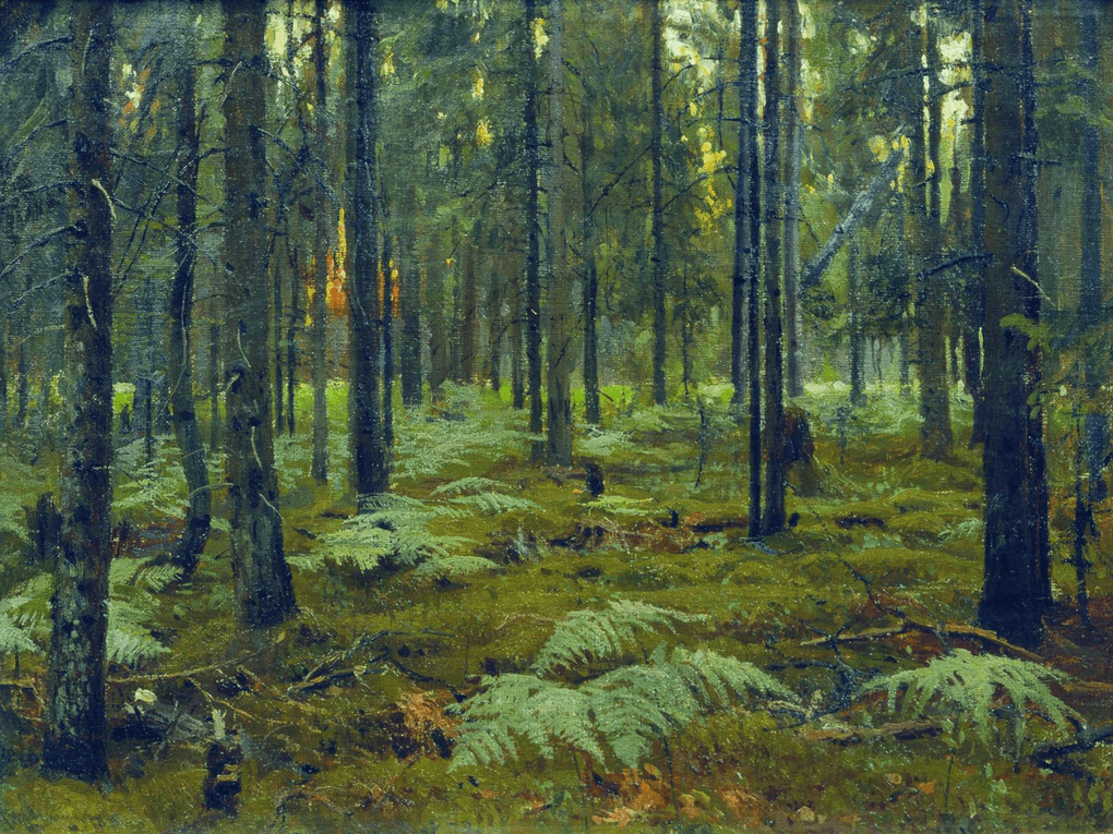 Станислав Жуковский. Лес. Папоротники. Закат (фрагмент). 1895. Государственная Третьяковская галерея, Москва