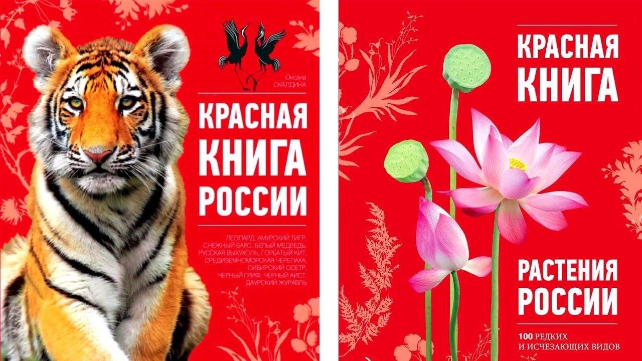 Красная книга изображение