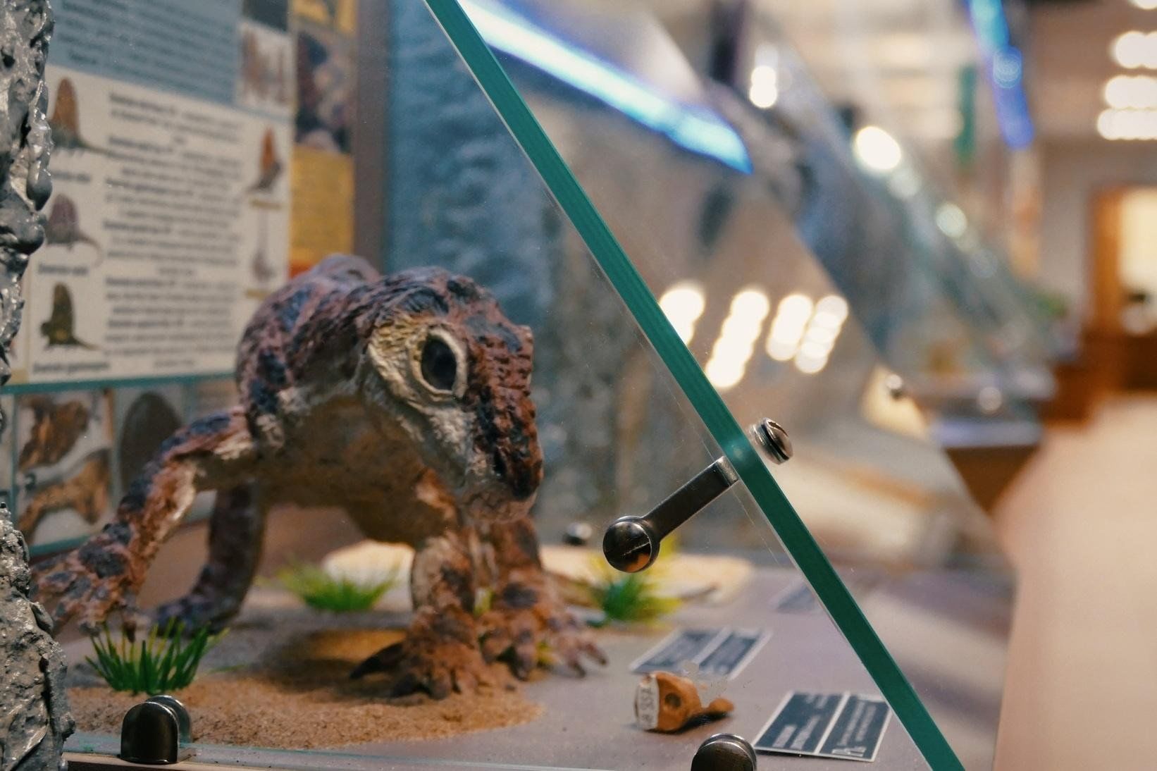 Авторская экскурсия по выставке «Пеликозавры и их мир»