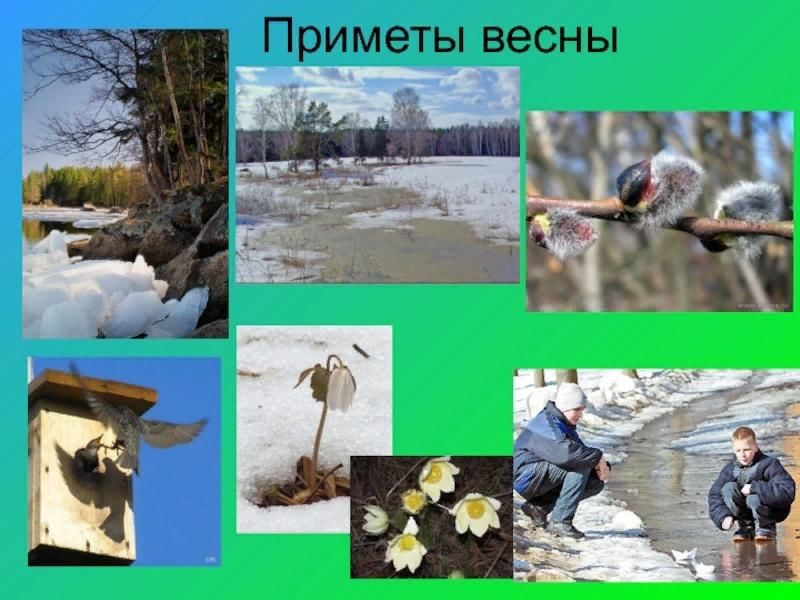 Приметы весны картинки для детей