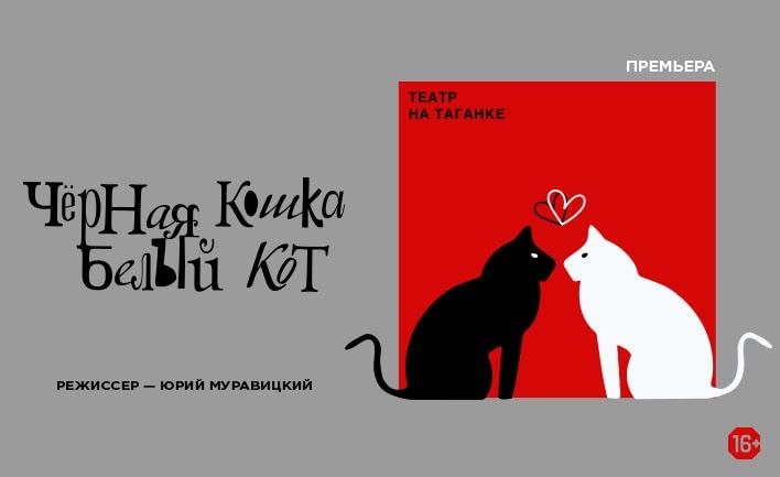 «Черная кошка, белый кот»