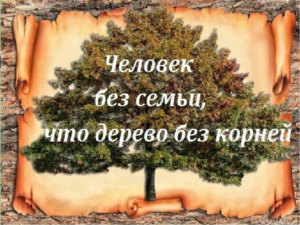 Семья корень. Дерево без корней. Моя родословная. Человек без семьи что дерево без корней. Проект на тему родословная.