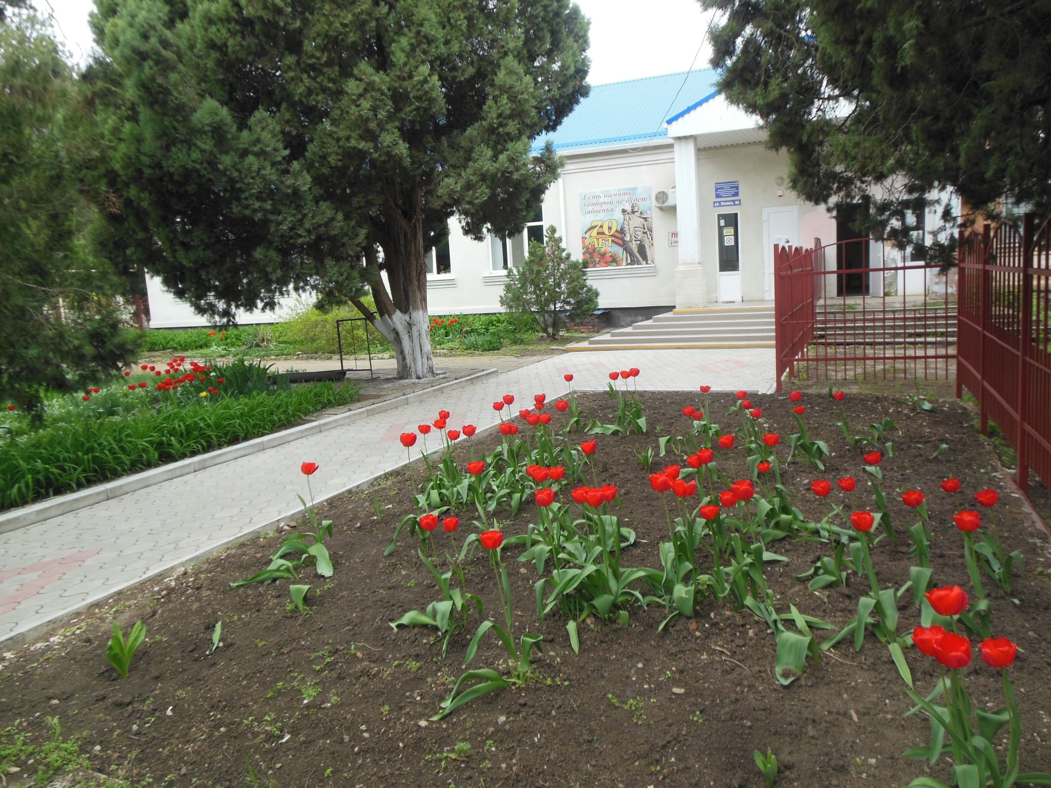 Погода в роговской краснодарского края. Станица Роговская Краснодарский край. Станица Роговская Тимашевский район Краснодарский край.