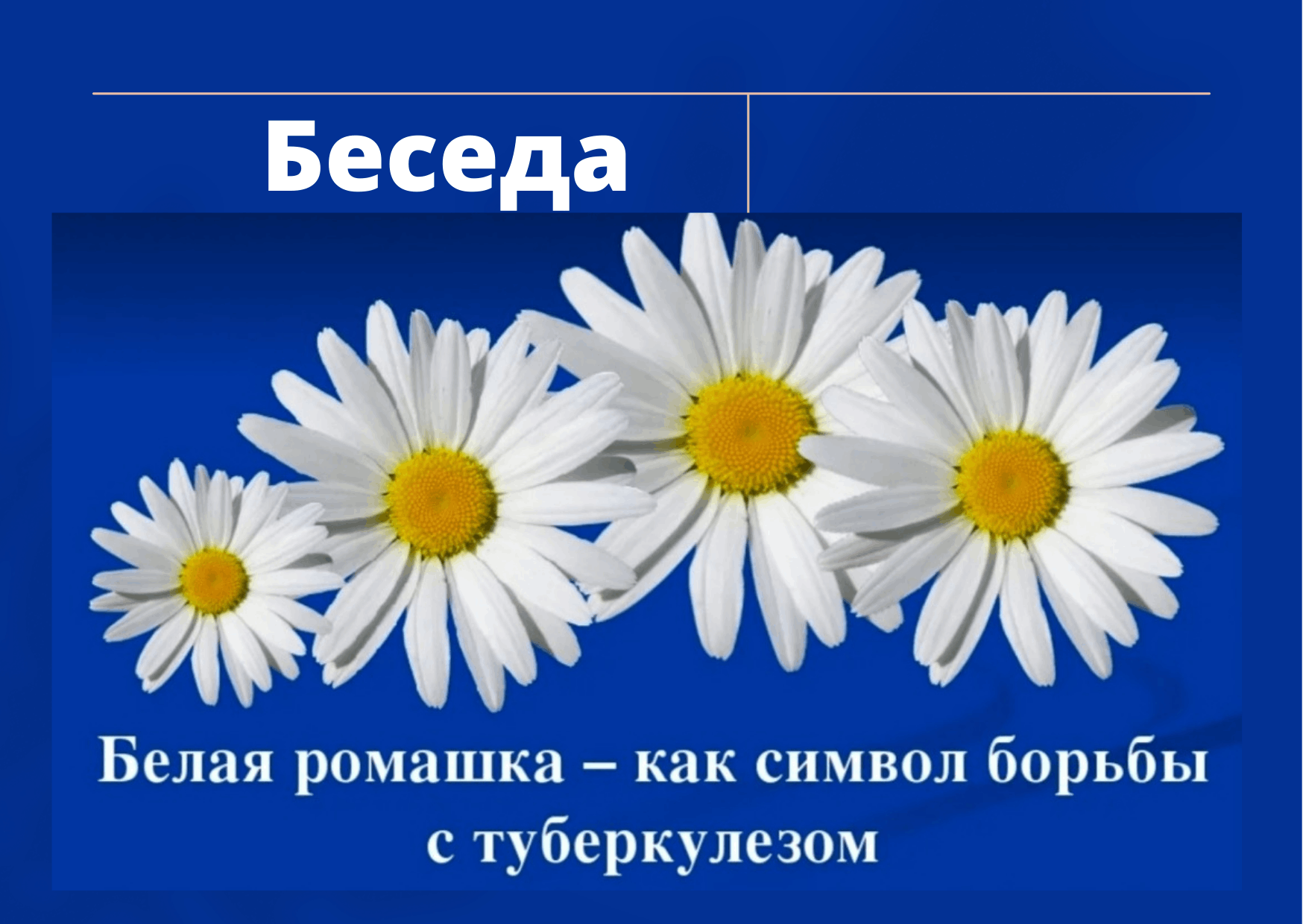 Ромашка символ туберкулеза картинки