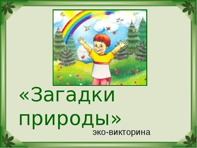 Загадки природы картинки