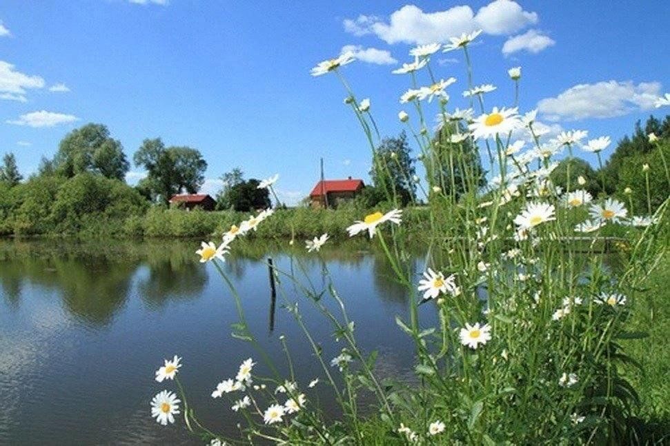 Родина беларусь фото