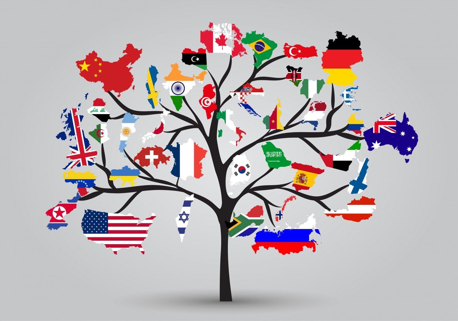 Language. Язык мира. Дерево с флагами разных стран. Языковое дерево. Многообразие языков.