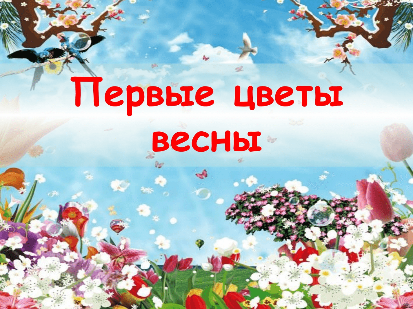 Цветы Весна для презентации