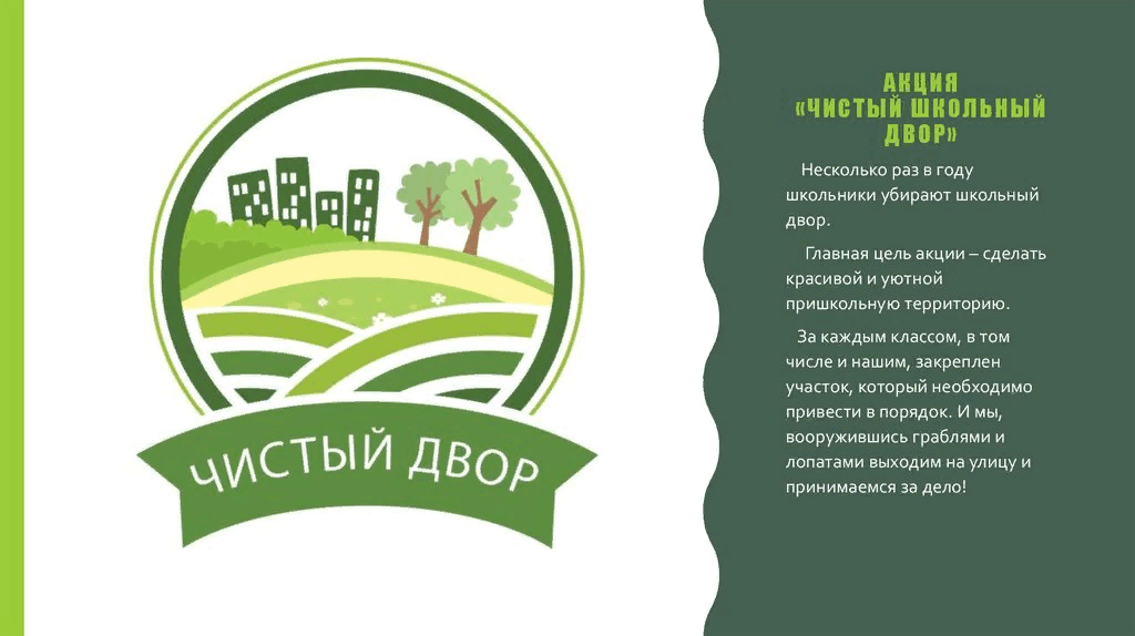 Проект чистый двор