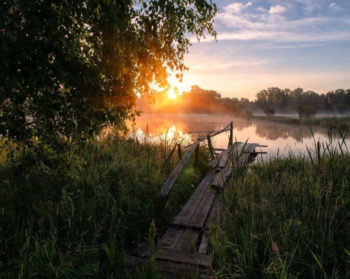 Утро в деревне фото лето