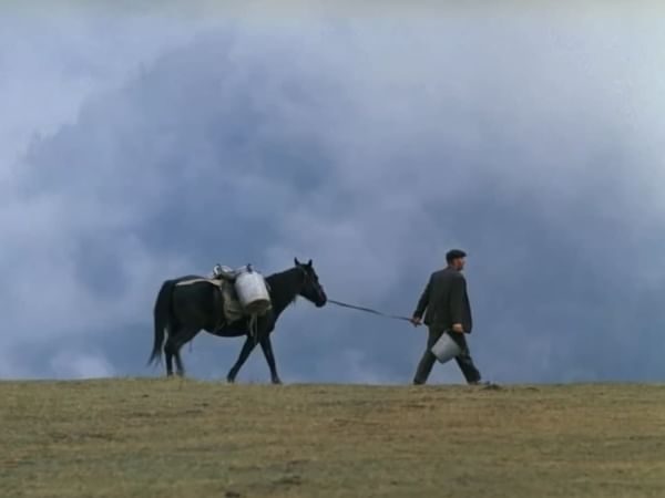 Кадр из художественного фильма Георгия Данелии «Мимино» (1977)