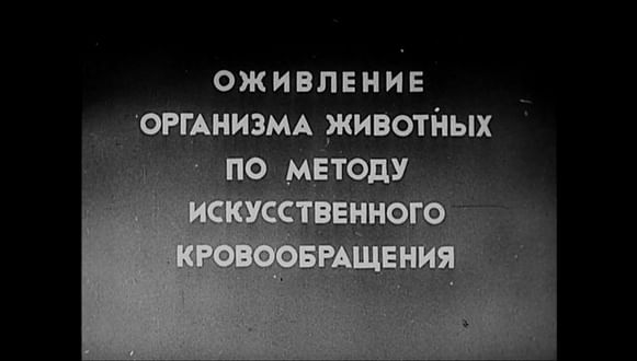 «Опыты по оживлению организма», 1940