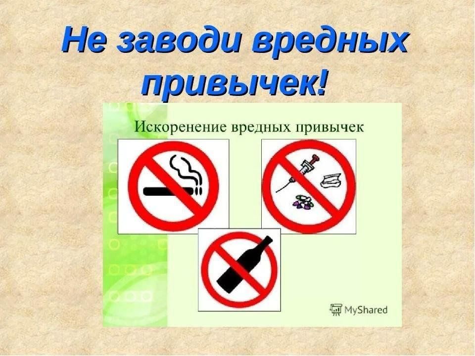 Проект здоровый образ жизни и вредные привычки