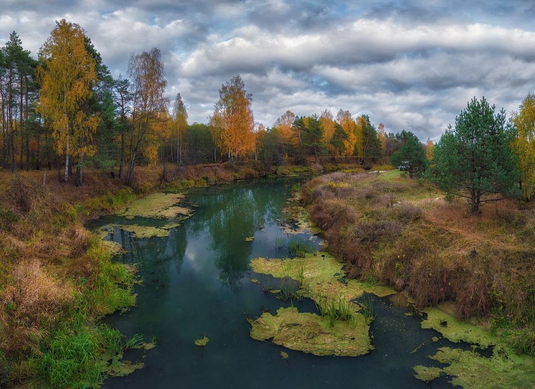 Красивые места средней полосы россии фото