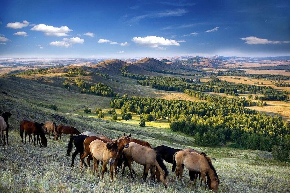 Республика башкортостан фото природы